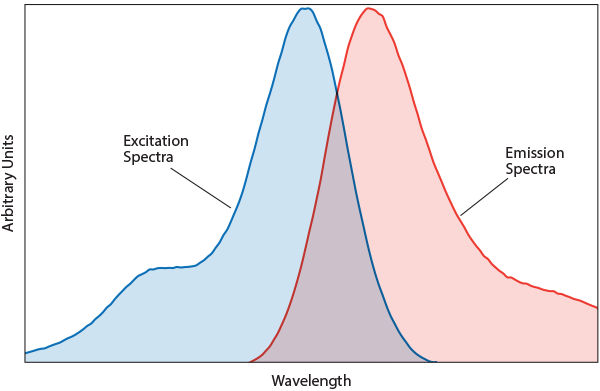 fluorochrome spectra