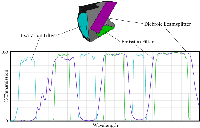 spectra showing excitation filter, emission filter and dichroic beamsplitter