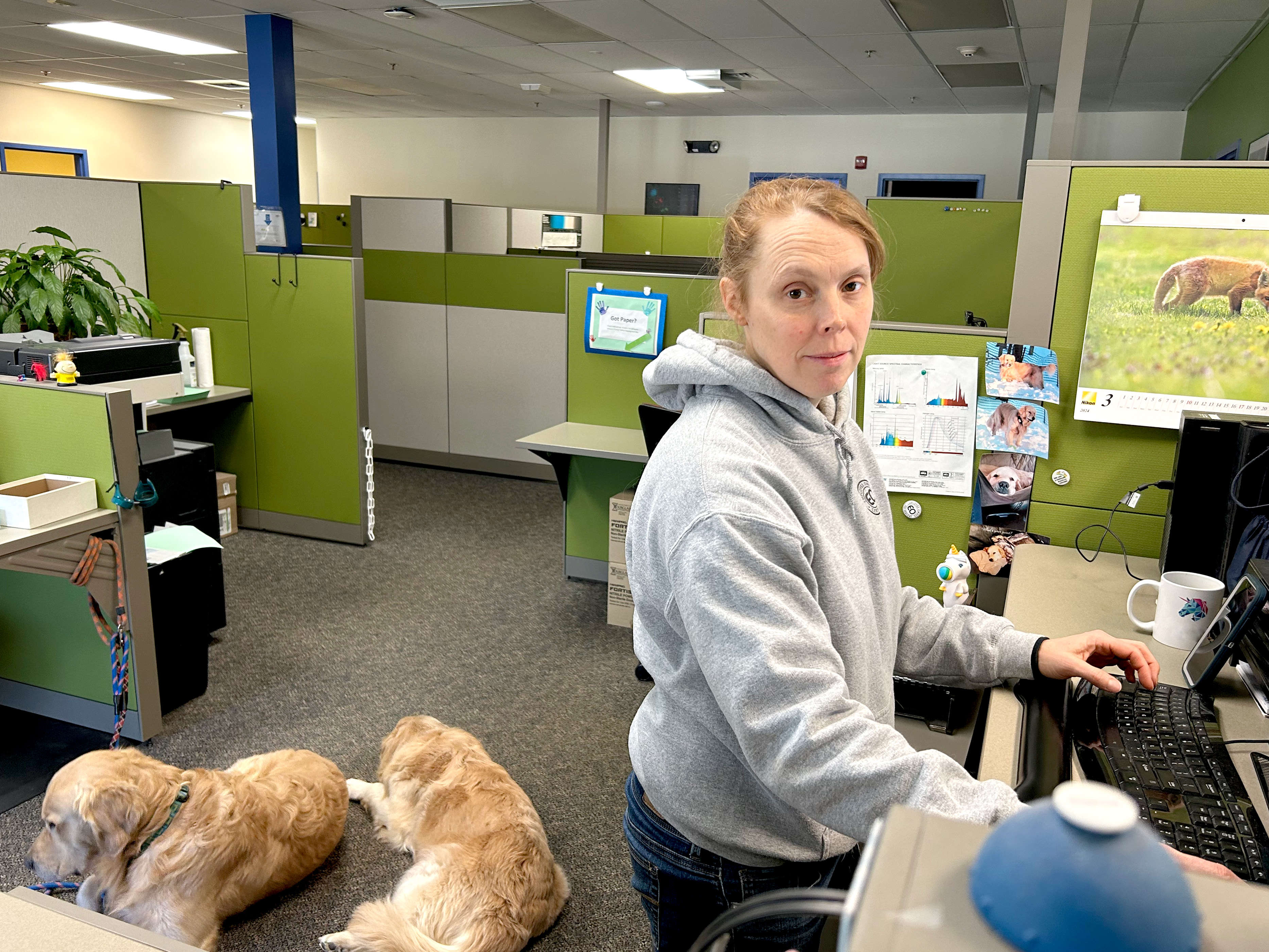 customer service agent with 2 golden retrievers
