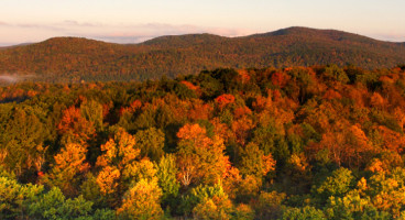 hero scenic landscape photo of foliage colors contact