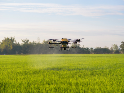 chroma drone in a field