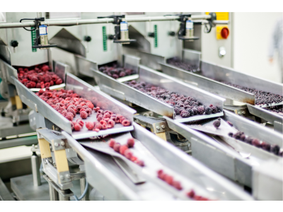 chroma food inspection