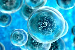 fluorescence microscopy blue cells