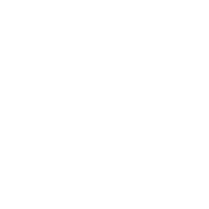 yale validation mark